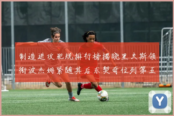 制造进攻犯规排行榜揭晓里夫斯领衔波杰姆紧随其后东契奇位列第五
